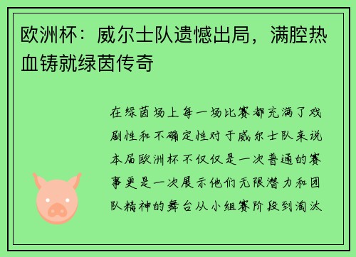 欧洲杯：威尔士队遗憾出局，满腔热血铸就绿茵传奇