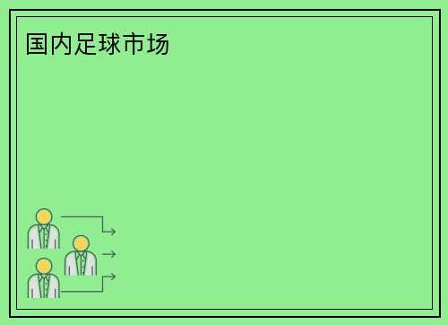 国内足球市场